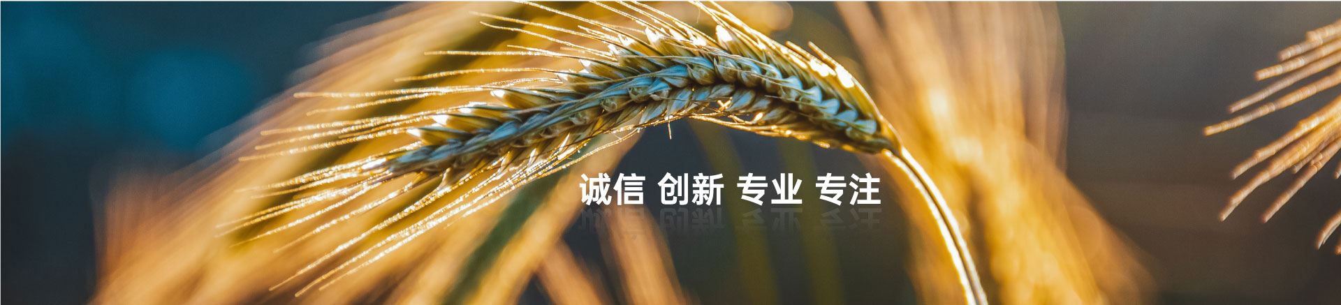 顧客至上，信譽第一